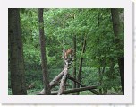 Dierentuin Burgers  Zoo 081 * 3648 x 2736 * (5.65MB)